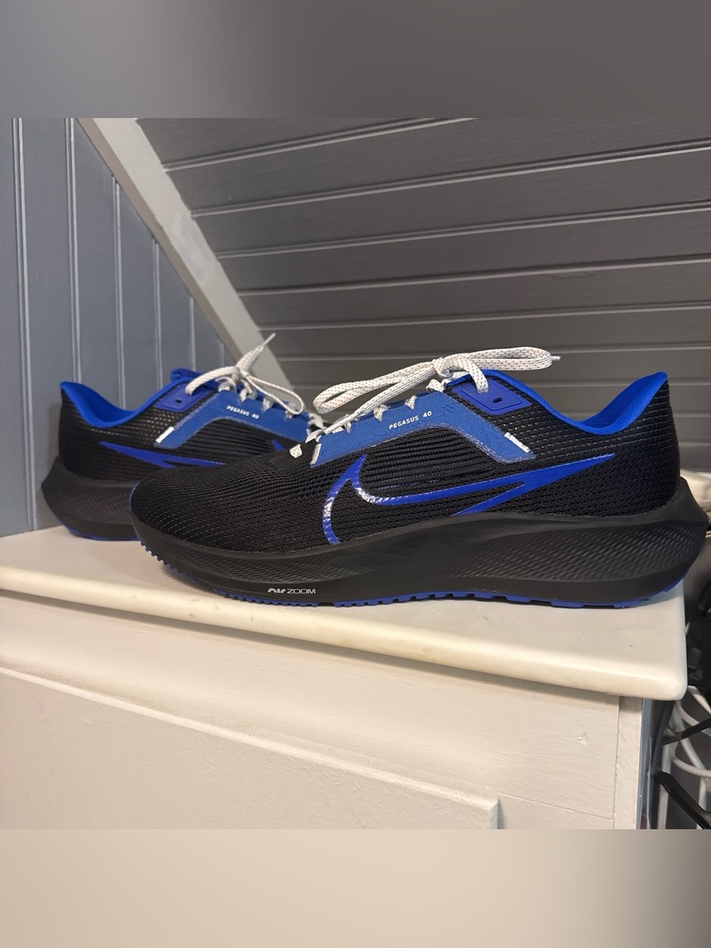 Nike Air Zoom Pegasus 40